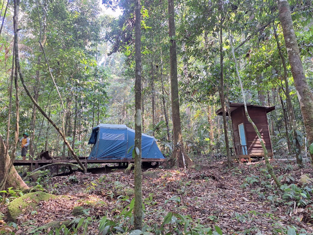 Camping Experience