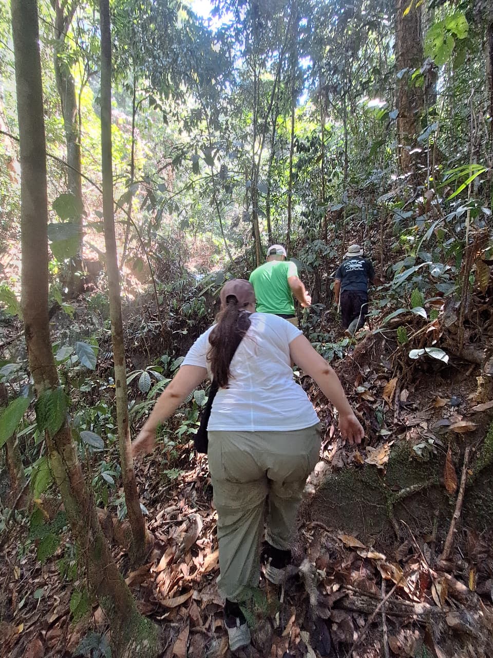 Trekking & Canoeing